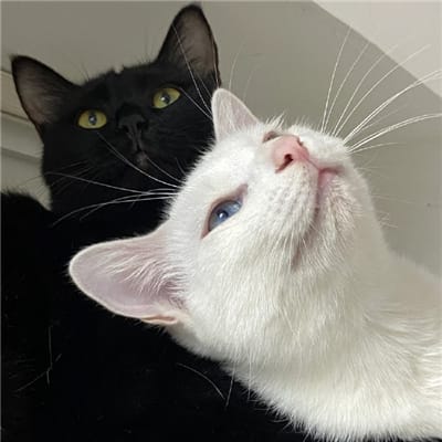 Heliodoro Nieva avatar